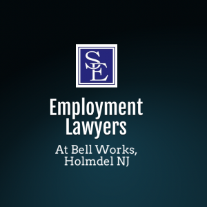 Employment Lawyers